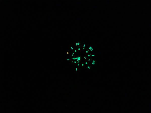 DSC02544-1.jpg
