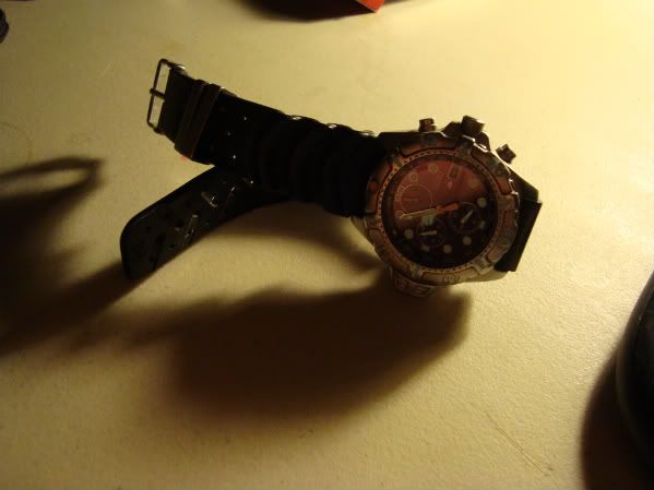 DSC02545-1.jpg