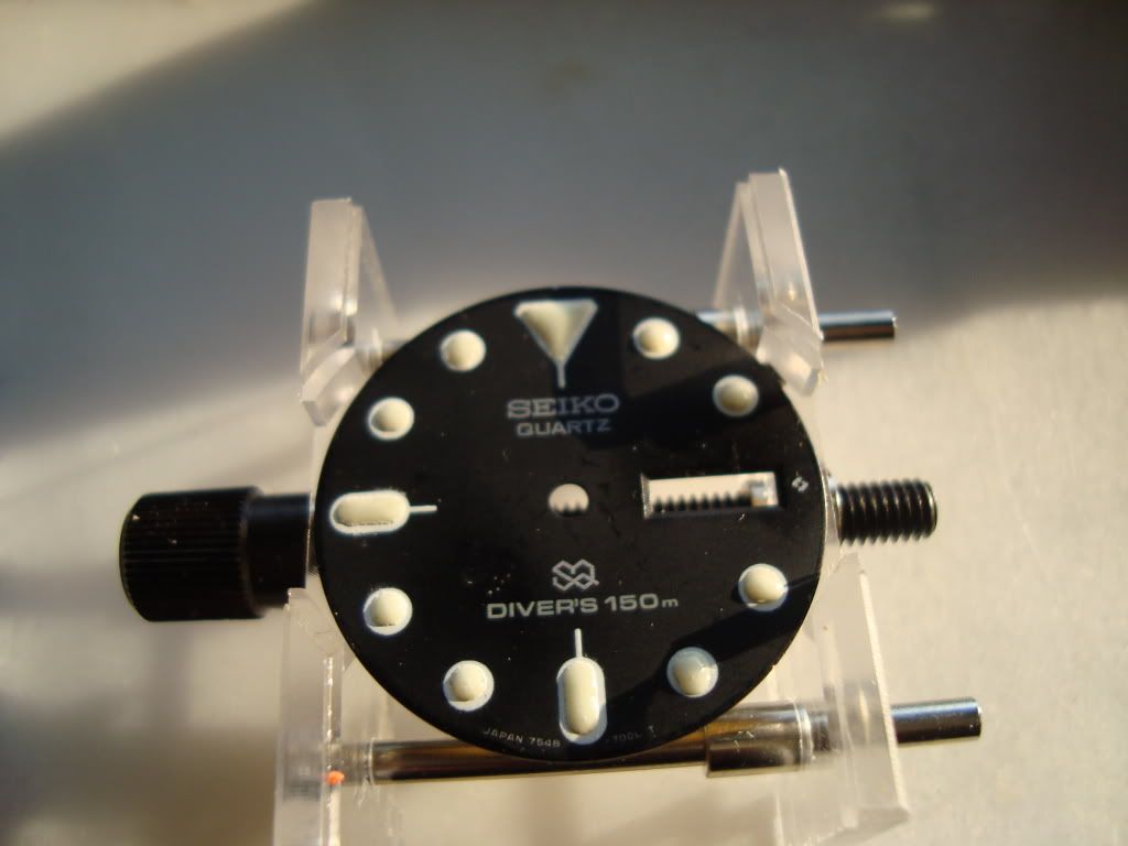 DSC02576.jpg