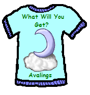 Pretty Shirt Done By Shiro Ookami!