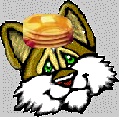 CatwithPancakeonhead.png