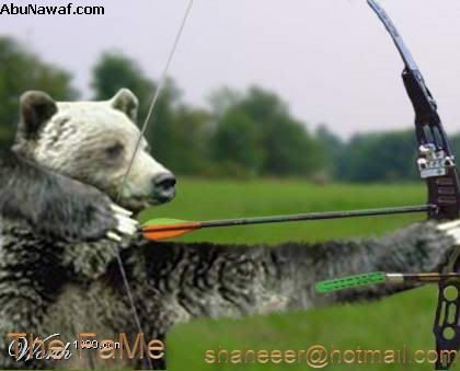 Animal5.jpg