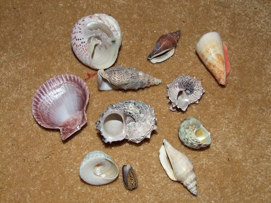DSCF5214.jpg