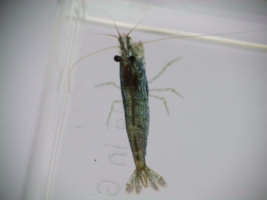 DSCF5762.jpg