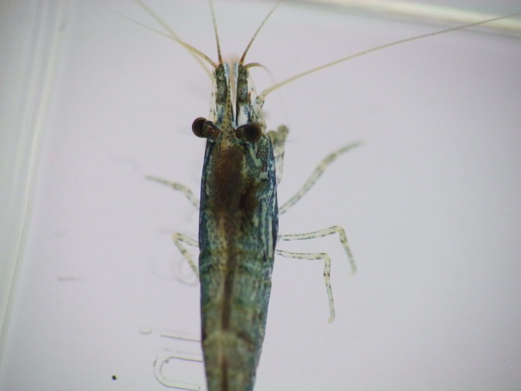 DSCF5763.jpg