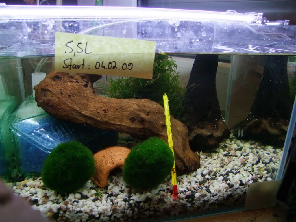 DSCF5780.jpg