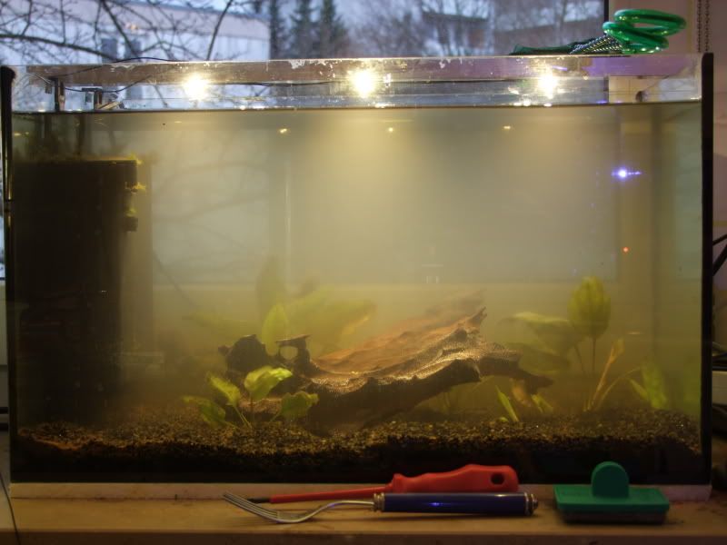 DSCF7819.jpg