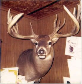 Fred&rsquo;s Big Buck