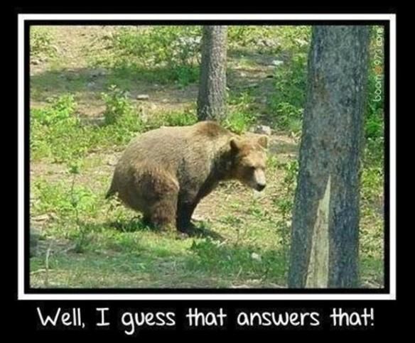 photo does-a-bear-shit-in-the-woods-funny-pictures_zpsuwoy6htt.jpg