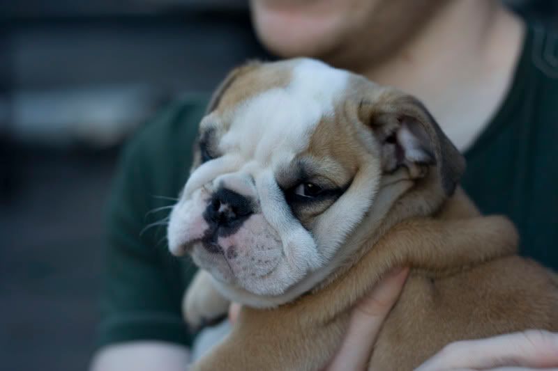 IMAGE: http://img.photobucket.com/albums/v197/SJTrance/Michelle%20and%20Nate/_MG_6494-2.jpg