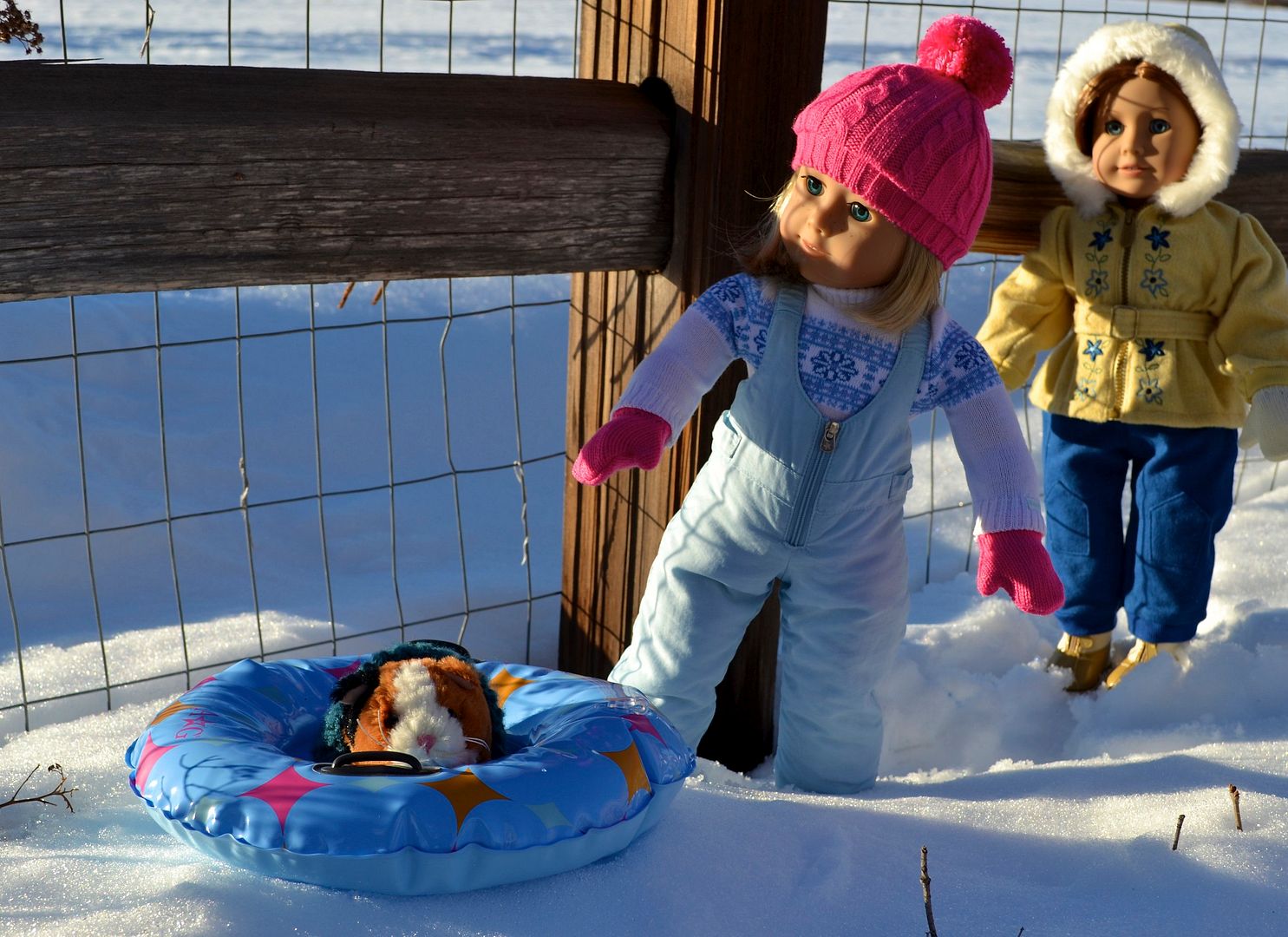 Guinea Pig Ride, Aleah lets Churro have a little ride