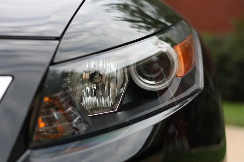 Custom painted headlights/DDM 5000k HID kit/Retrosolutions Angel Eyes installed. Drive Accord