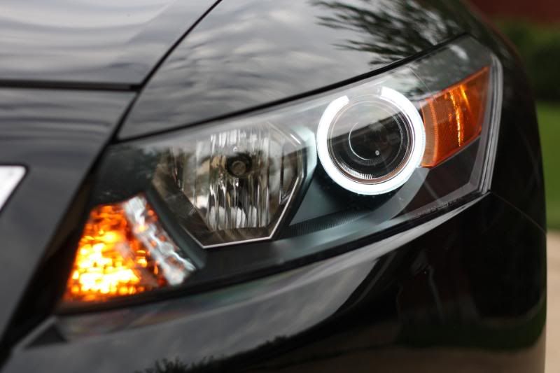 Custom painted headlights/DDM 5000k HID kit/Retrosolutions Angel Eyes installed. Drive Accord
