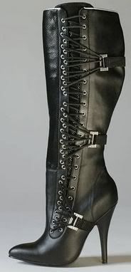 Sexy female boots