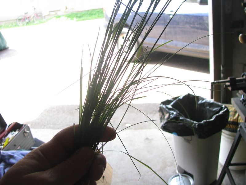 IMG_0004-7.jpg