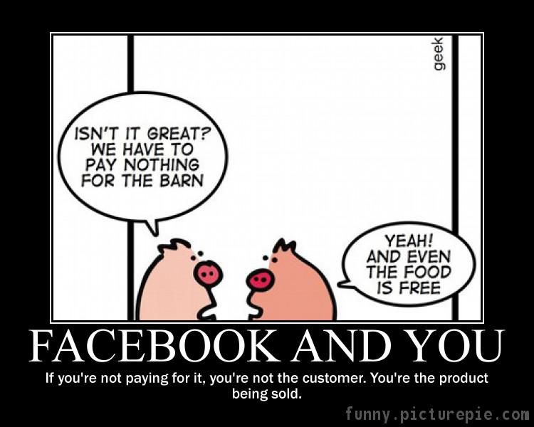 pigs_facebook_free_funny.jpg