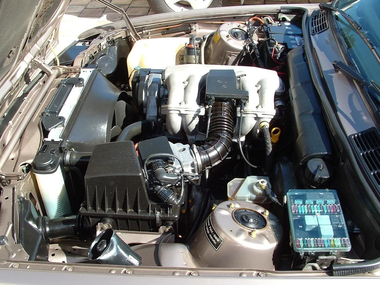 [Image: E30engineleftsmall.jpg]