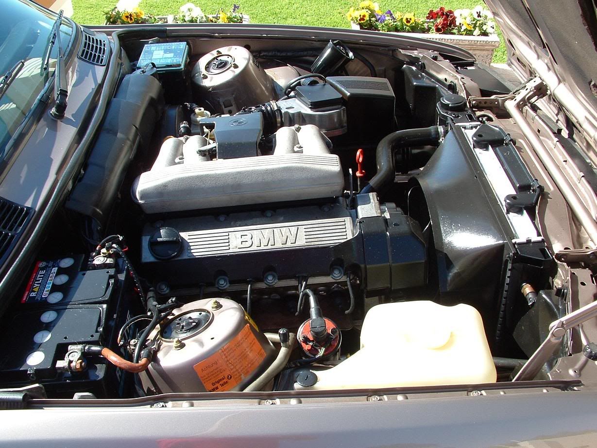 [Image: e30enginerightsmall.jpg]