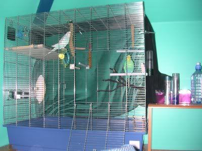 Img1235.jpg