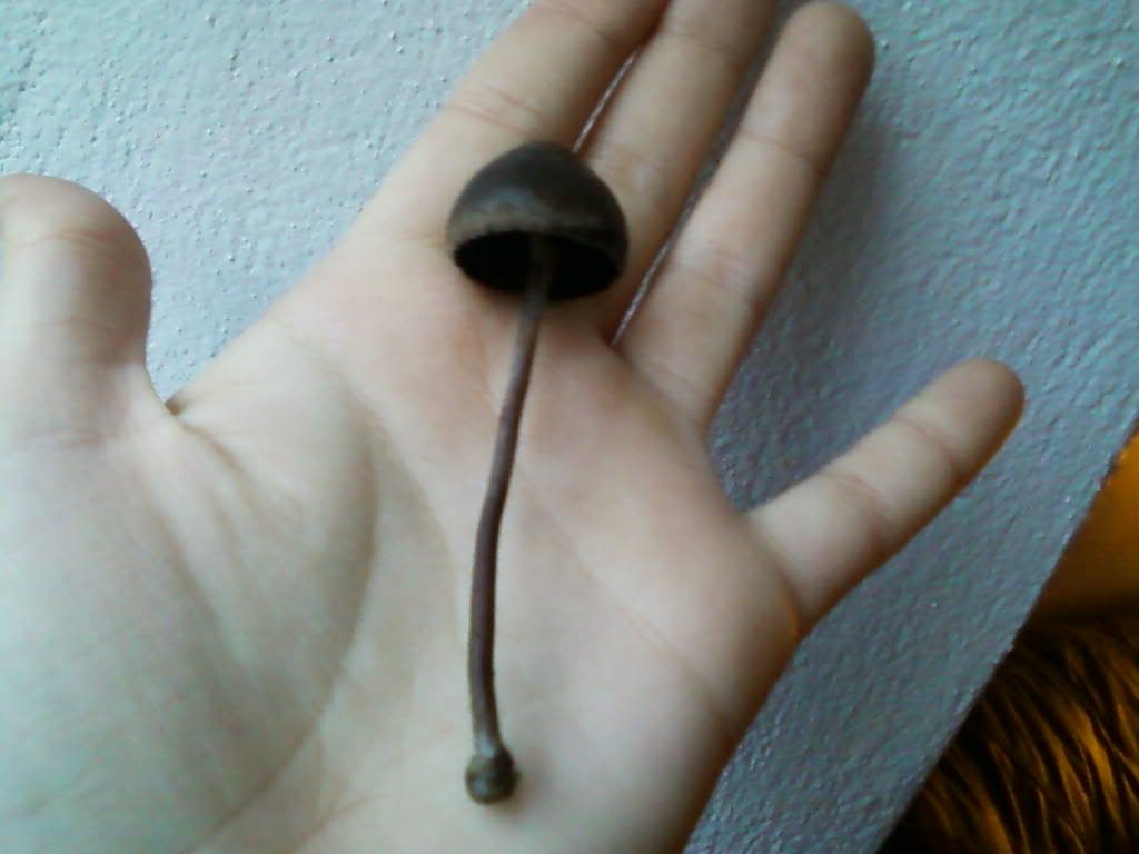 Billede