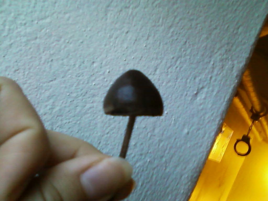 Billede