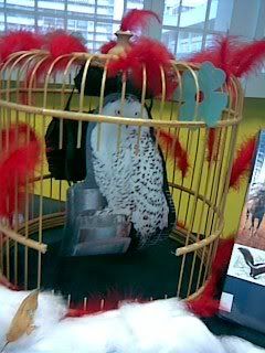 Photo Sharing and Video Hosting at Photobucket