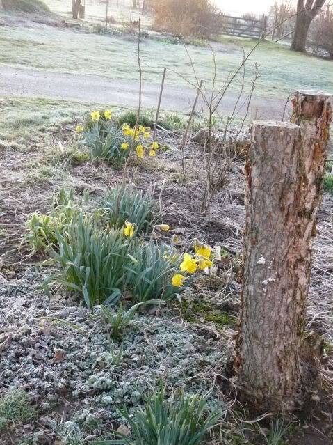 Frost on HB Bed