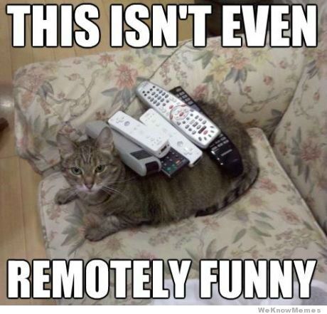 remotely-funny-cat_zpsw9quo6ww.jpg