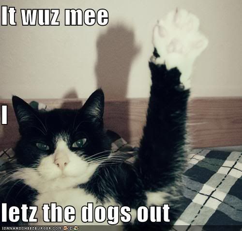 Forum Image: http://img.photobucket.com/albums/v200/-KLoWn-/funny-pictures-cat-raises-hand-dogs.jpg