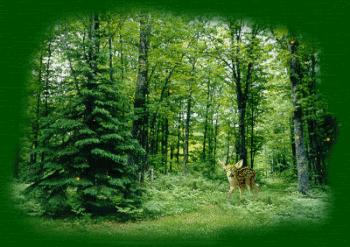 deerani6350.gif picture by 3peas
