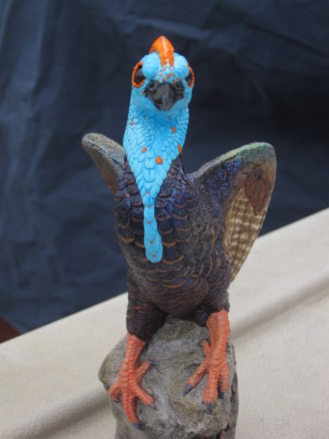 PYO Phoenix - "Ocellated Turkey" photo IMG_7096.jpg