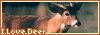 Wai, deer! Like my FireFawn! *hugs*