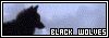 Waaai, black wolves! ^^ Like meh Mindwalker! xD