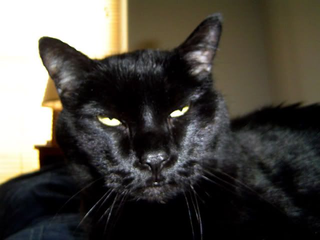 DSC03146.jpg