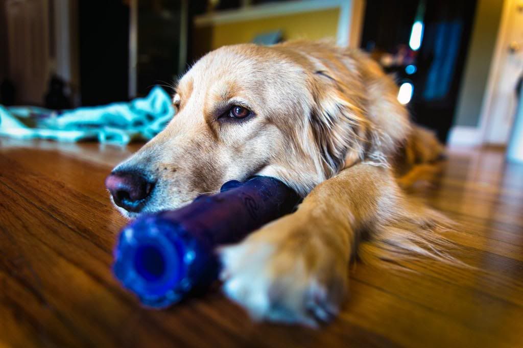 IMAGE: http://img.photobucket.com/albums/v200/gomez1856/966280_10151461157743341_697347264_o_zpscd7d56c2.jpg