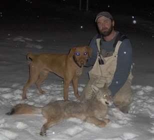 coppercoyotejan05.jpg