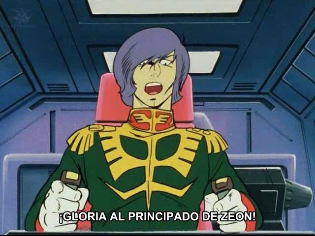 Imagen enviada