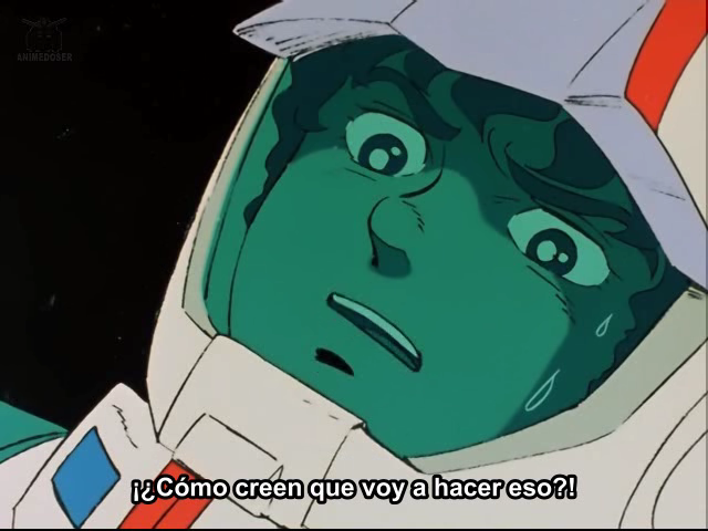 Imagen enviada
