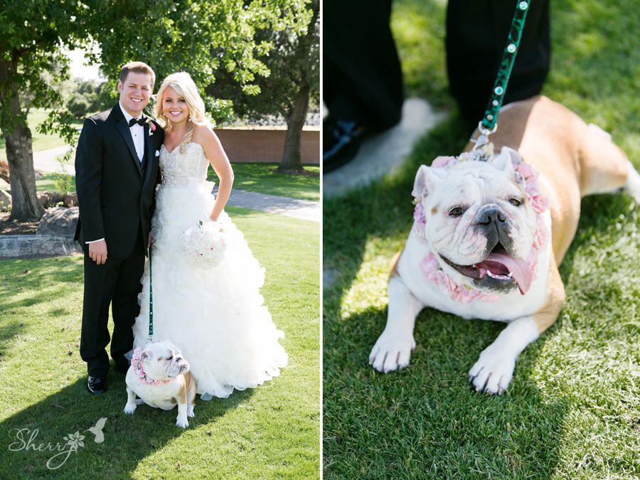 Seven Oaks Country Club, Bakersfield wedding photography