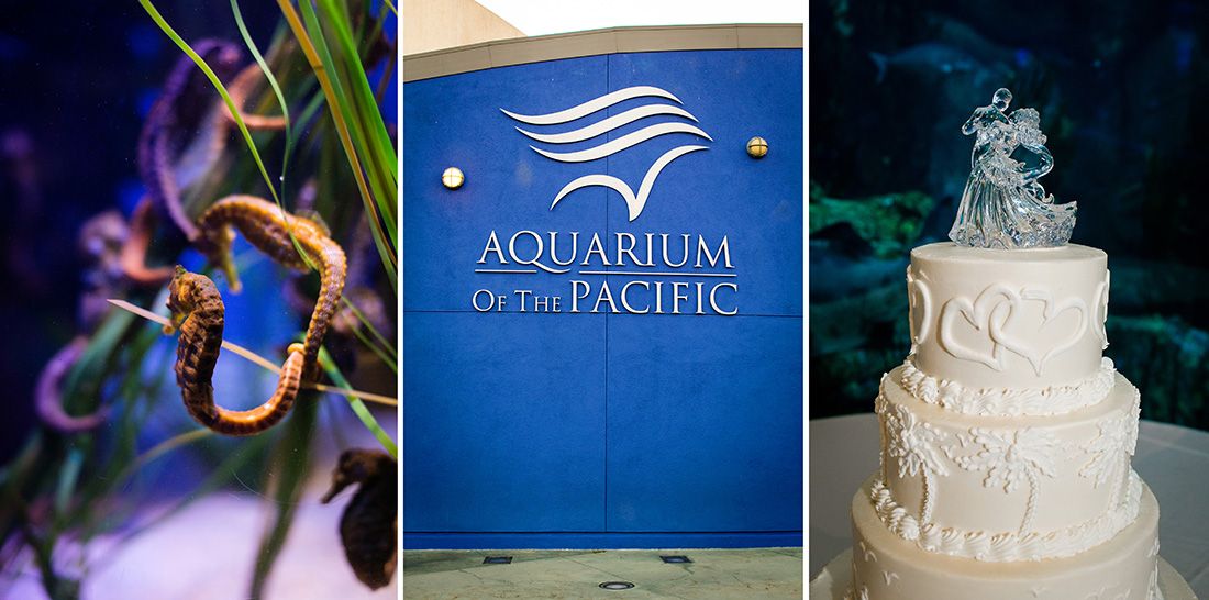 aquarium of the pacific wedding photography long beach sherrijphotography