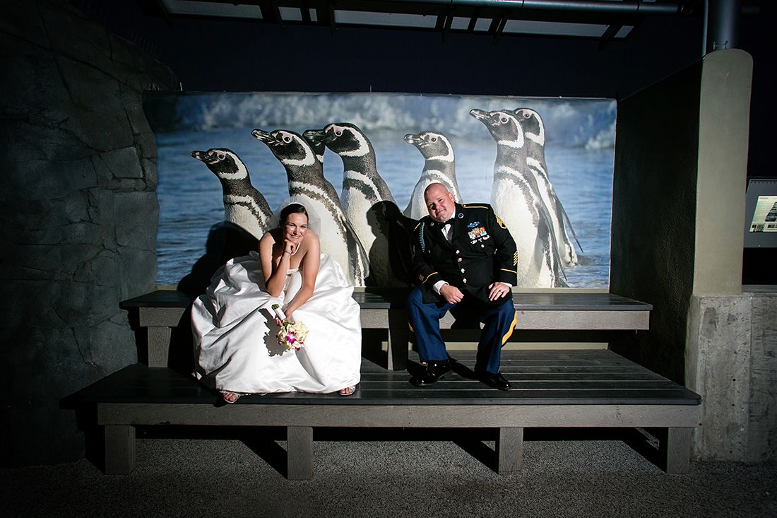 aquarium of the pacific wedding photography long beach sherrijphotography