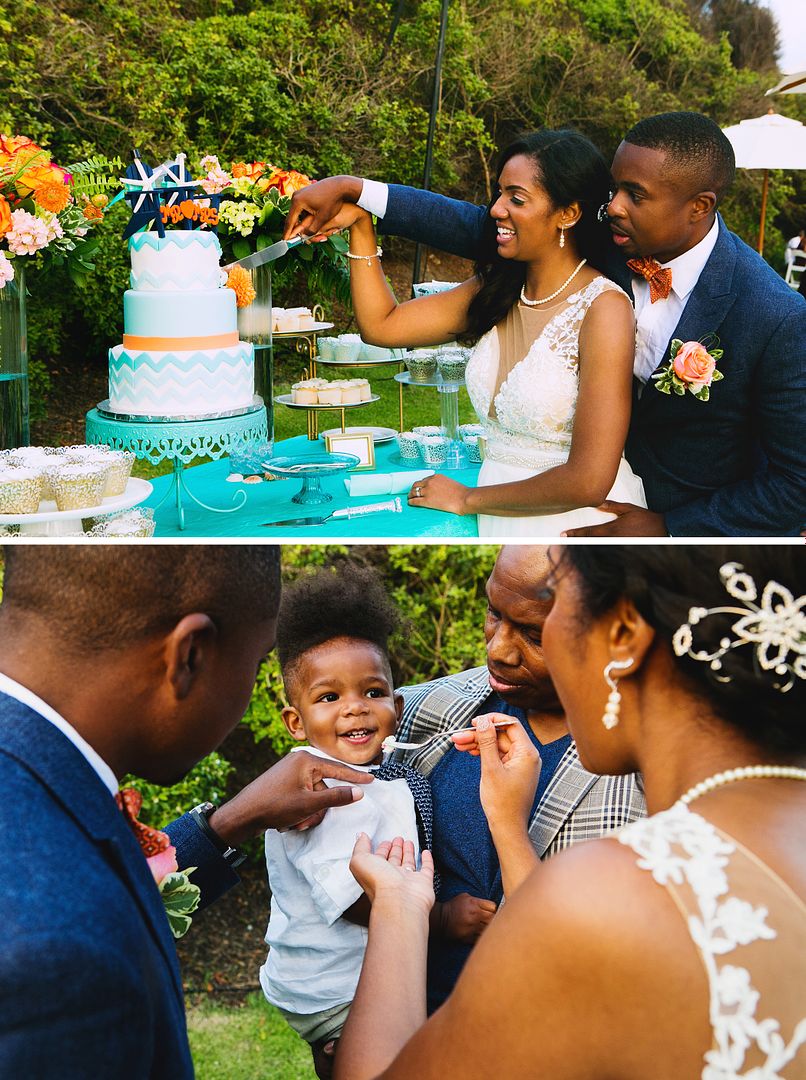Cake Cut Wedding