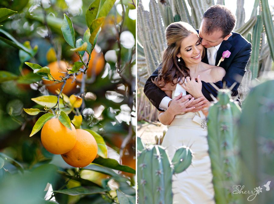 Arboretum wedding photography