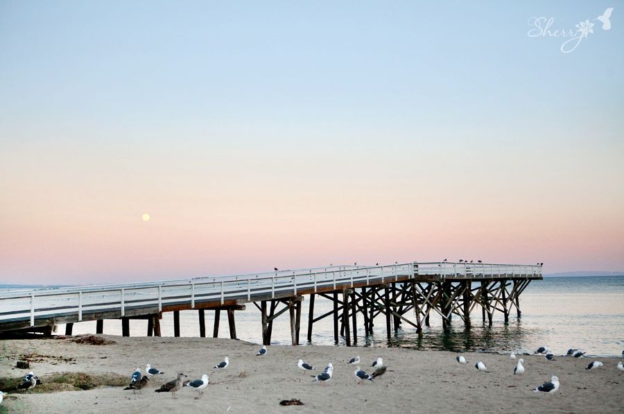 Malibu Engagement Photography