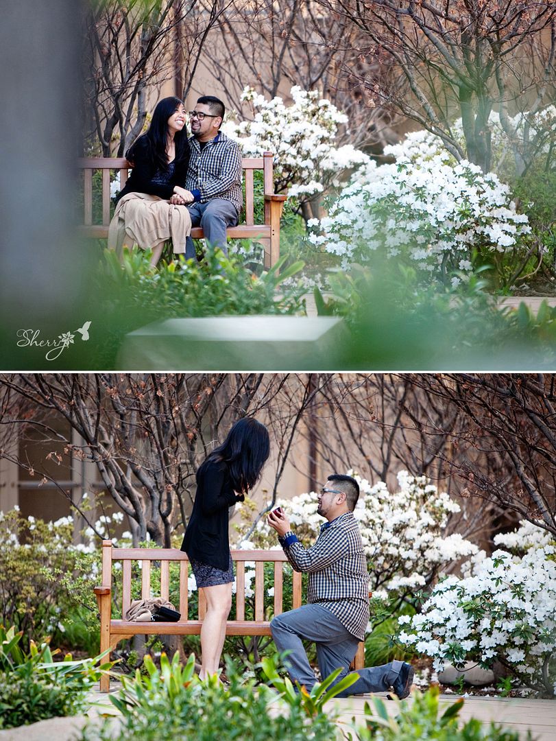 surprise proposal engagement