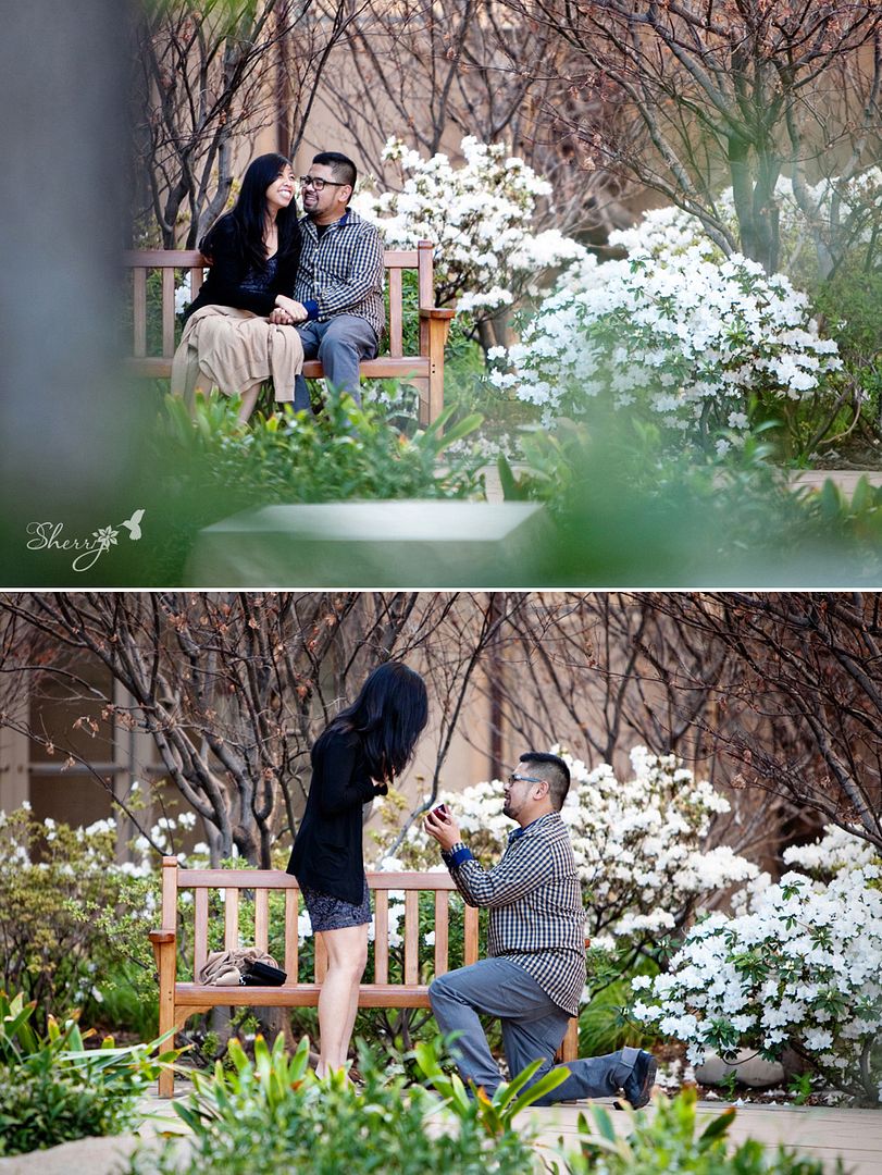 surprise proposal engagement