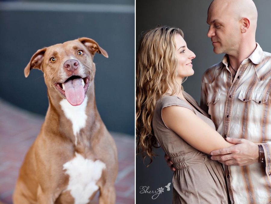 venice beach engagement photography