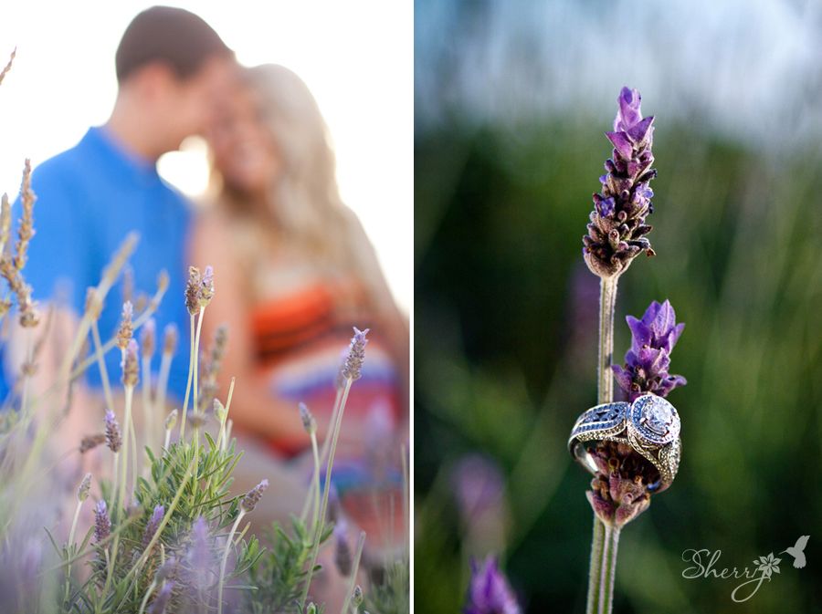 santa monica engagement photography