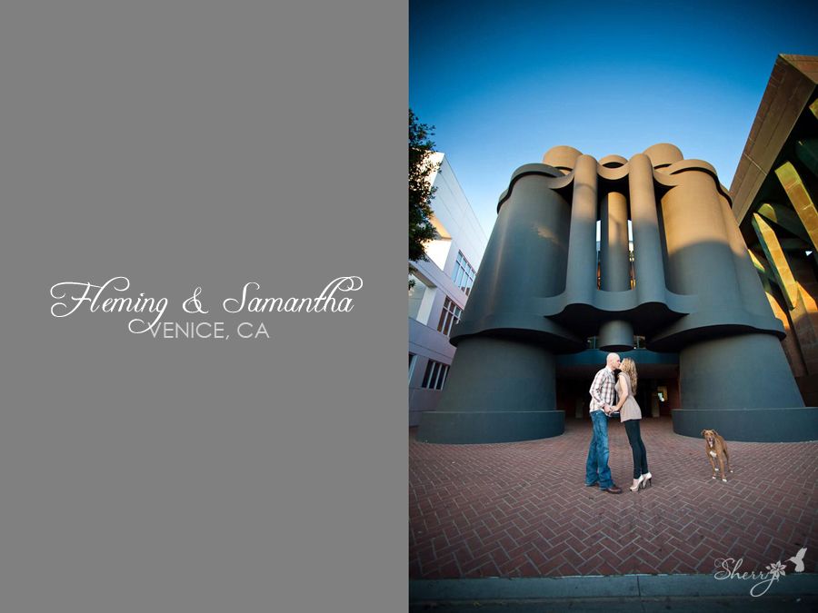 venice beach engagement photography