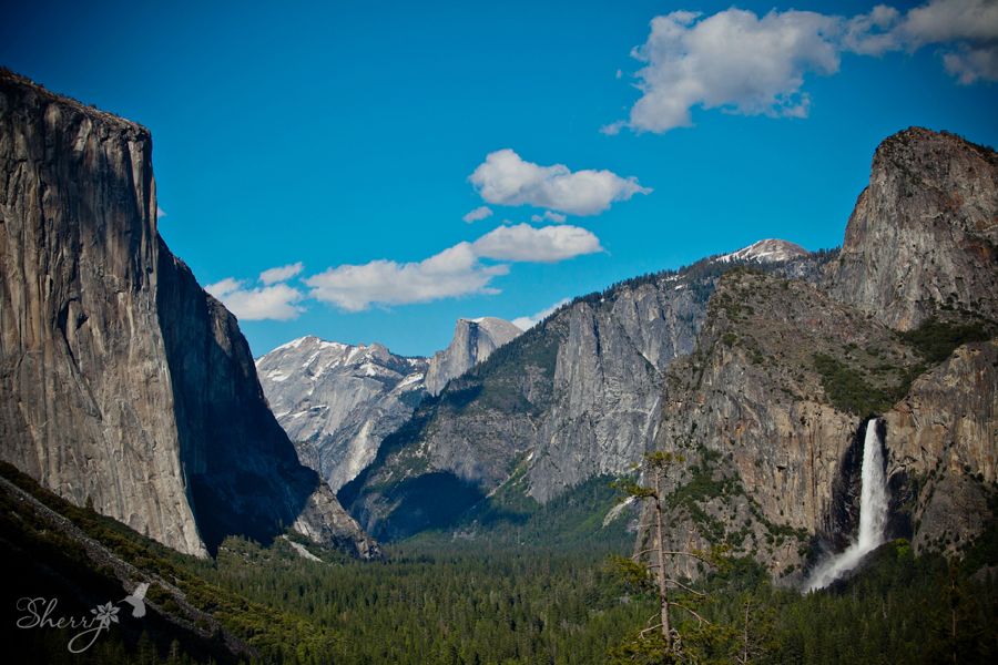 yosemite wedding destination